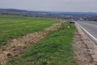 Spațiu comercial, în Copăceni - 4