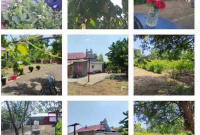 Casa de vanzare la Valea Nucarilor din Tulcea la doar 52.000 euro - 6
