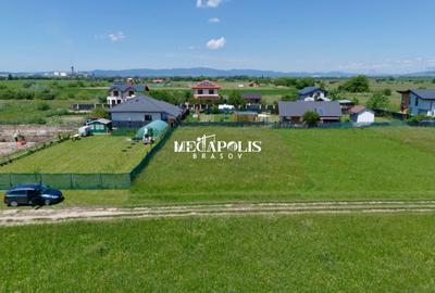 Teren Construcții intravilan de 600 mp, în Sânpetru - 3