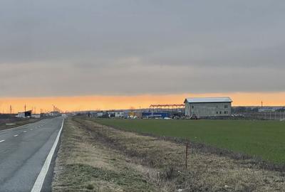 Teren de 9500 mp, în Remetea Mare - 5