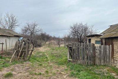 Casă cu 3 camere în Năsturelu - 4