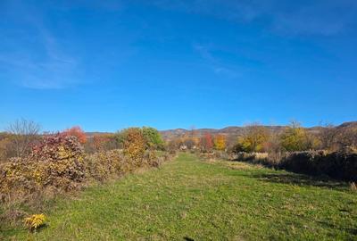Teren intravilan in Buzau, sat Tega, 3300 mp - 2