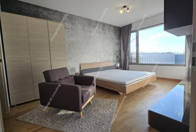 Apartament cu 3 camere, mobilat în Take Ionescu - 4