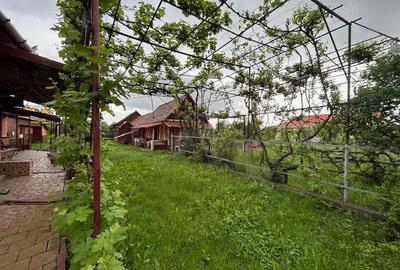 Vanzare Casa in Rusii-Mun?i, Jude?ul Mure? - 2