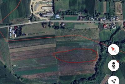 Spațiu comercial, în Botoș