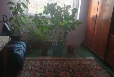 Apartament cu 3 camere decomandat în Rogerius - 1