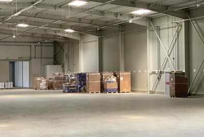 Hala complet echipata, nou construita langa aeroportul interna?ional Traian Vuia - 10