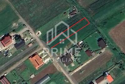 Teren de 1200 mp, în Șard - 1