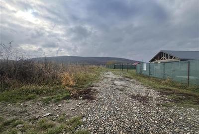 Hemeius- teren 500 mp- 18 ml deschidere! - 2