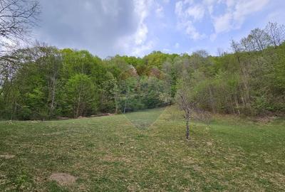 Teren superb, intravilan - la marginea padurii ! - 8