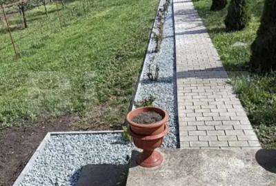 Casă cu 2 camere cu Teren 1751 Mp în Bogata - 5