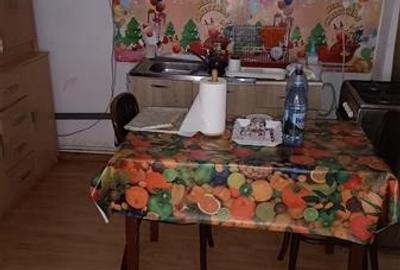 Casa Batraneasca - Braila - Mihai Bravu - toate utilitatile - 2