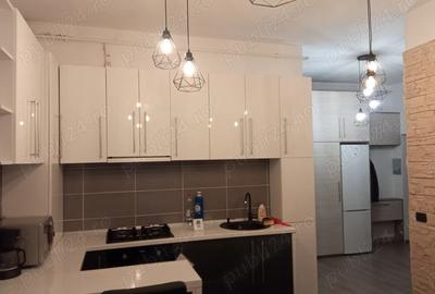 Pf dau in chirie ap 1 cam str.Muresului-Cluj-Napoca Pf dau in chirie ap 1 cam str.Muresului-Cluj-Napoca - 3