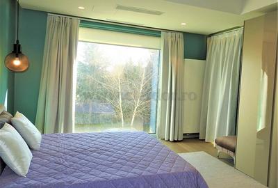 Iancu Nicolae - Jolie Ville duplex cu gradina langa padure - 9