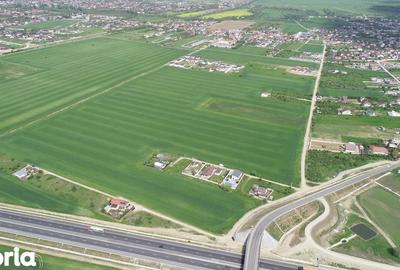 Teren de 40578 mp, în Ciorogârla - 13