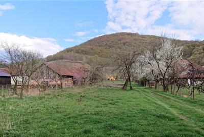 Proprietate Brad, Hunedoara - 5