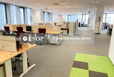 Spațiu comercial, de 600 mp, în Barbu Văcărescu