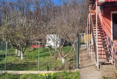 Casă cu 3 camere cu Teren 1558 Mp în Central - 16