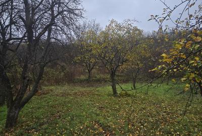 Teren Construcții intravilan de 500 mp, în Tomești - 5