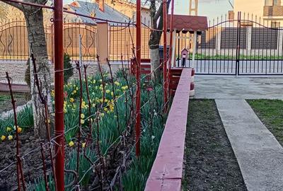 Casă cu 4 camere în Zalhanaua - 4