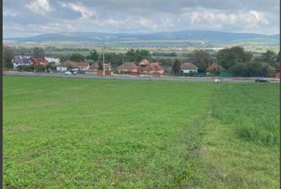 Teren extravilan Feldioara - 1