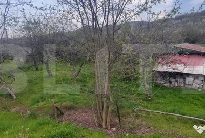 Teren în Voinești - 6
