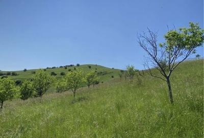 Teren de 620 mp, în Apahida - 2