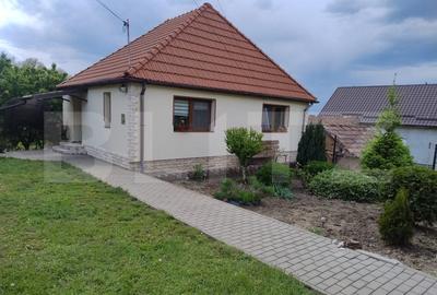 Casa in Teaca cu 4 camere si 10 ari de teren