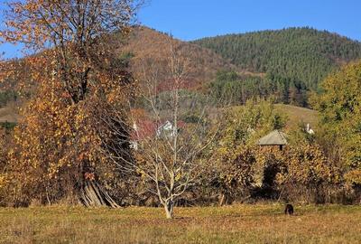 Teren 6,874mp Alexandru cel Bun / Strada plopusor - 6