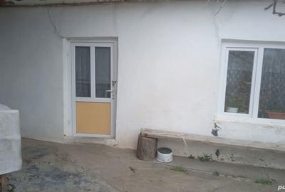 Casă cu 4 camere cu Teren 2300 Mp în Băneasa - 5