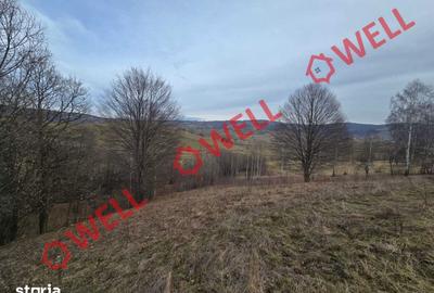 Teren de 5800 mp, în Barcani - 4