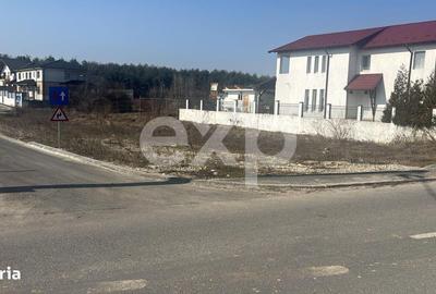 Spațiu comercial, în Trivale - 2