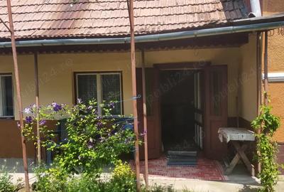 Vand casa Ru?ii Munti - 3