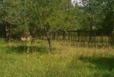 Casă cu 3 camere în Vișeu de Sus - 9