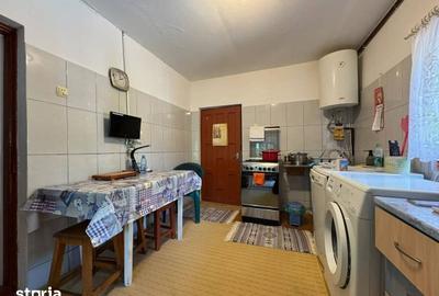Casă cu 3 camere cu Teren 4000 Mp în Letca Nouă - 3