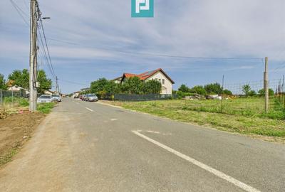 Teren Construcții intravilan de 1000 mp, în Dumbrăvița - 4