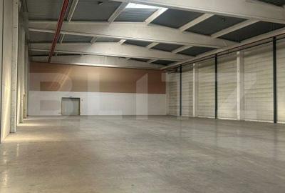 Spațiu comercial, de 3,000 mp, în Dumbrăvița - 4