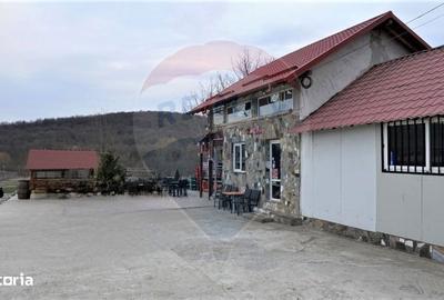 Spațiu comercial, de 150 mp, în Bogdănești - 11