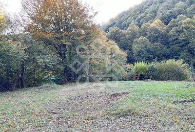 Teren de 2482 mp, în Bratca - 8