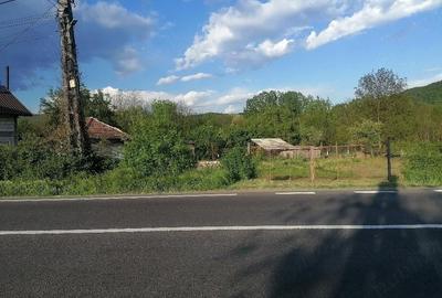 Teren de 800 mp, în Bujoreni - 6