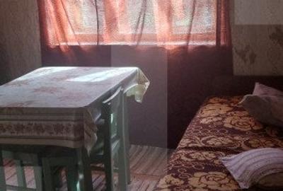 Blitz va ofera spre vanzare o casa cu teren generos in Cermei - 14