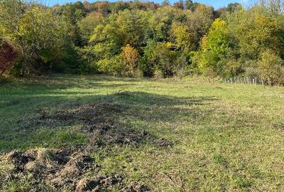 Teren Construcții intravilan de 3640 mp, în Central - 2