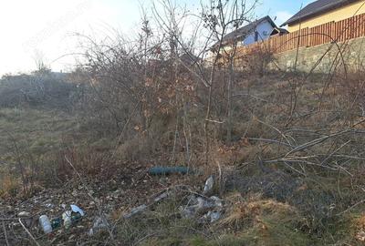 Teren de 900 mp, în Livezeni - 1