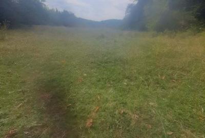 Teren de 12330 mp, în Baia de Fier - 1