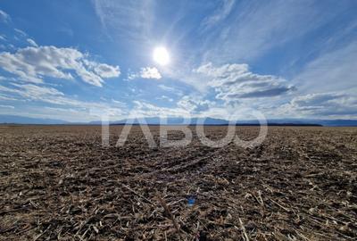 Teren extravilan arabil 5950 mp Selimbar - zona Sopa - 3