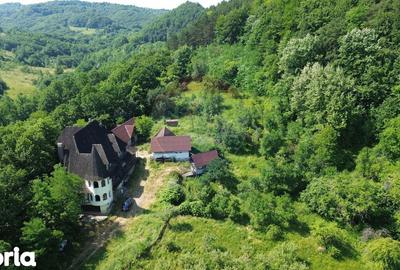 Casă cu Teren 24700 Mp în Copalnic - 11