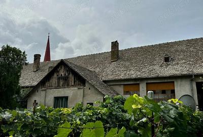 Casa de patrimoniu rural, sfar?it secol XIX Otelec - 10