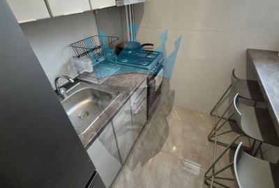 Apartament 3 Camere Aviatorilor - 10