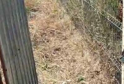 Teren de 500 mp, în Săftica - 1