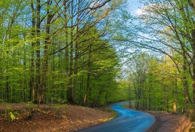 Teren de 40001 mp, în Teișani - 3